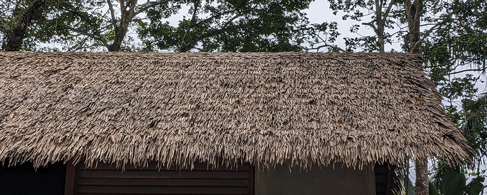 palma sintética Panamá para techo residencial ecológico